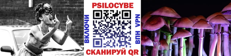 MEGA ONION  Петропавловск-Камчатский  Псилоцибиновые грибы мицелий 