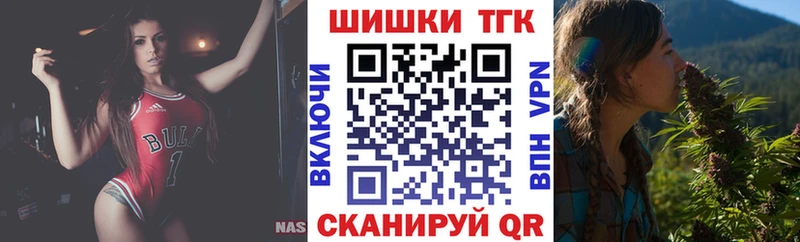 Бошки Шишки THC 21%  купить наркотики сайты  Петропавловск-Камчатский 